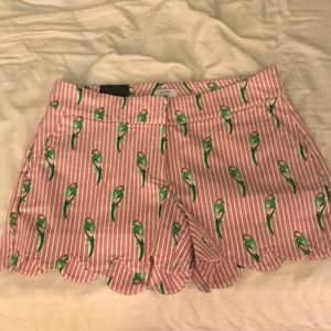 crown and ivy parrot shorts